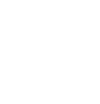 SECURITY AGAINST INTRUDERS