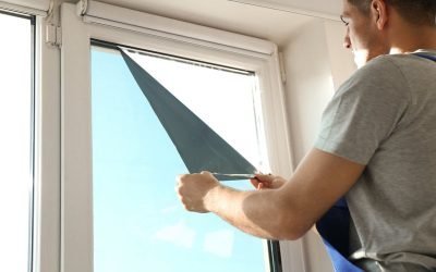 How Tinted Hurricane Windows Improve Homes and Buildings