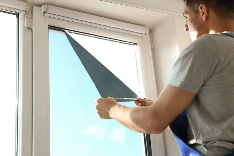 How Tinted Hurricane Windows Improve Homes and Buildings